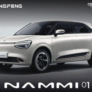 DongFeng Nammi 01